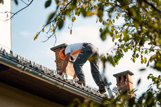 Best Metal Roofing Contractor  in Grangeville, ID