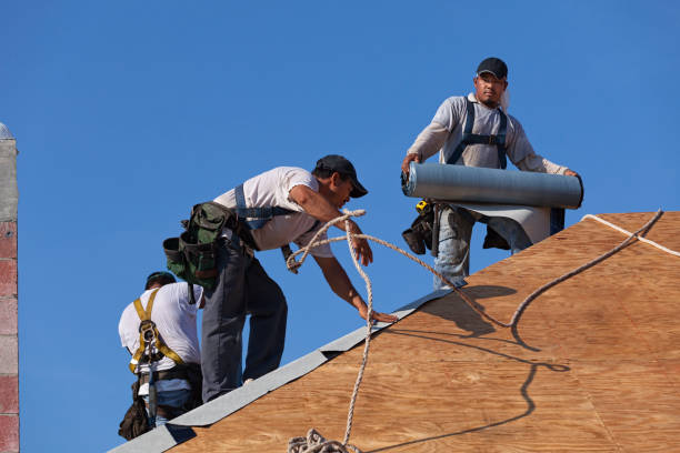 Best Roof Gutter Cleaning  in Grangeville, ID